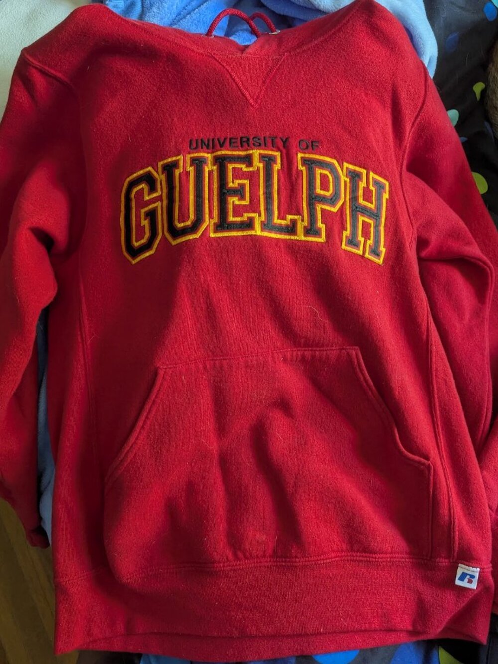 University of Guelph Hoodie